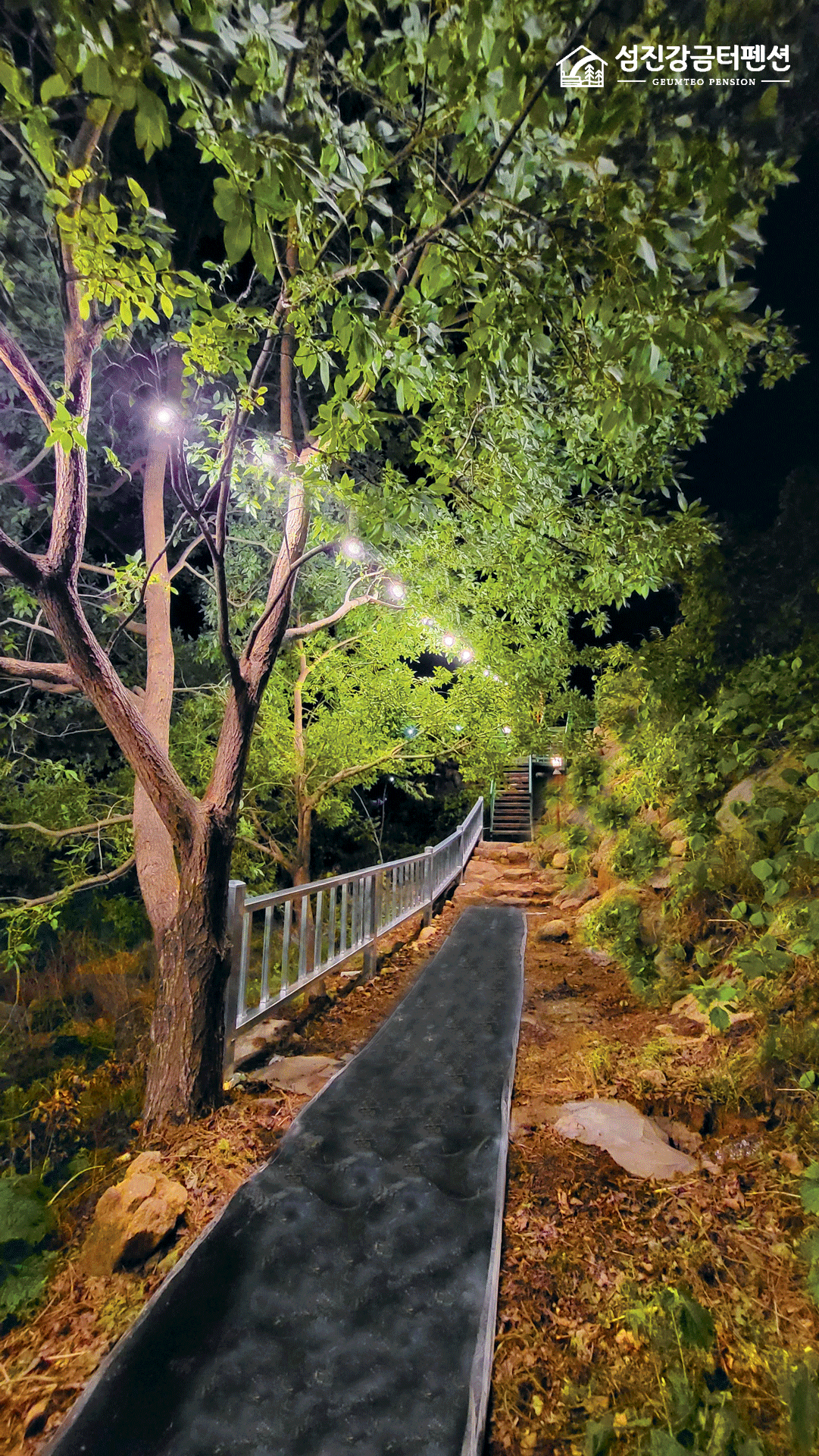 산책길야경-모바일-3_보정_색보정.png